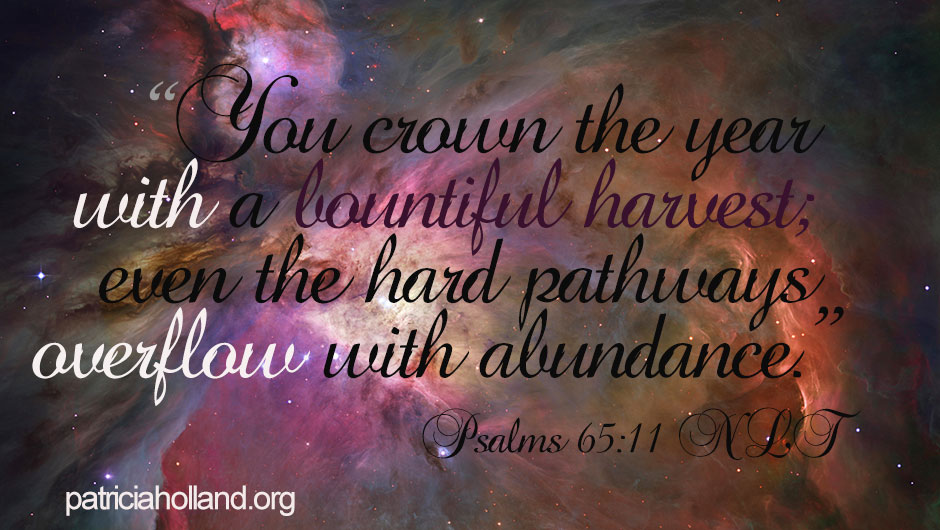 “You crown the year with a bountiful harvest; even the hard pathways overflow with abundance.” Psalms 65:11 NLT