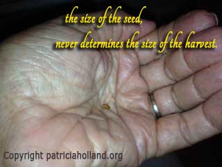 the size of the seed, never determines the size of the harvest.