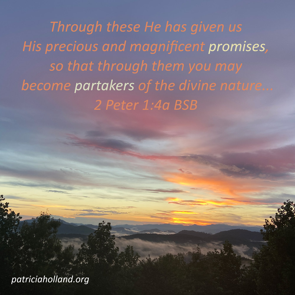 2 Peter 1:4 Through these He has given us His precious and magnificent promises, so that through them you may become partakers of the divine nature, now that you have escaped the corruption in the world caused by evil desires.