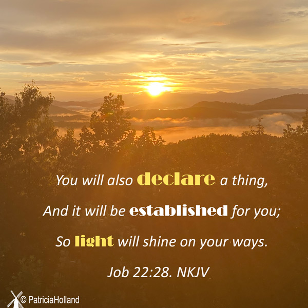 Job 22:28 NKJV God's promise You will also declare a thing, And it will be established for you: so light will shine on your ways.