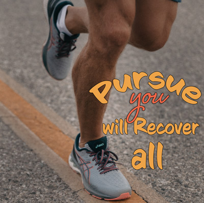 pursue you will recover all