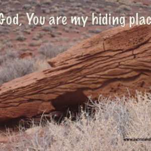 You are my hiding place psalms 32:7